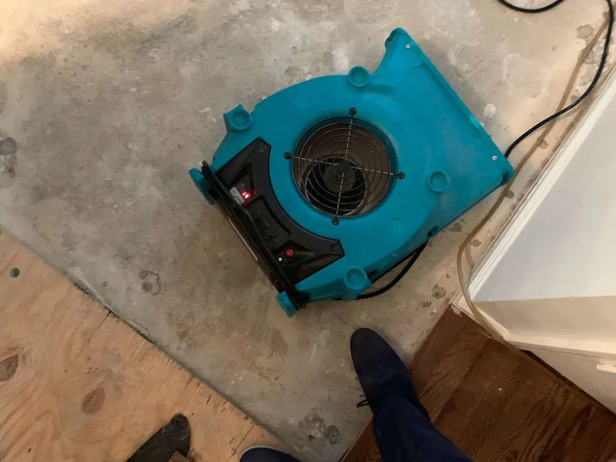 Air mover drying subfloor during Leak Detection & Repair in Price